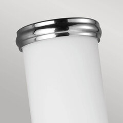Настенный светильник для ванной комнаты Elstead Lighting Payne FE-PAYNE1-BATH цена и информация | Настенные светильники | hansapost.ee