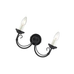 Настенный светильник Elstead Lighting Chartwell CH2-BLACK цена и информация | Настенные светильники | hansapost.ee