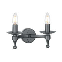 Настенный светильник Elstead Lighting Warwick WR2-GRAPHITE цена и информация | Настенные светильники | hansapost.ee