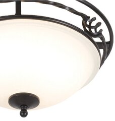 Потолочный светильник Elstead Lighting Pembroke PB-F-A-BLACK цена и информация | Потолочные светильники | hansapost.ee