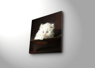 Репродукция Пушистый котенок цена и информация | Настенные деревянные декорации | hansapost.ee