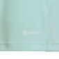 Laste T-särk Adidas Entrada 22 Jersey HC5078, piparmündivärvid цена и информация | Jalgpalli varustus ja riided | hansapost.ee