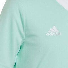 Детская футболка Adidas Entrada 22 Jersey HC5078, цвета мяты цена и информация | Футбольная форма и другие товары | hansapost.ee