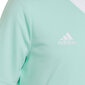 Laste T-särk Adidas Entrada 22 Jersey HC5078, piparmündivärvid hind ja info | Jalgpalli varustus ja riided | hansapost.ee
