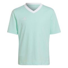 Детская футболка Adidas Entrada 22 Jersey HC5078, цвета мяты цена и информация | Футбольная форма и другие товары | hansapost.ee