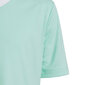 Laste T-särk Adidas Entrada 22 Jersey HC5078, piparmündivärvid цена и информация | Jalgpalli varustus ja riided | hansapost.ee