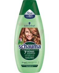 Освежающий шампунь для жирных и нормальных волос Schwarzkopf Schauma 7 Herbs, 250 мл цена и информация | Шампуни | hansapost.ee