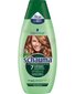 Värskendav šampoon rasustele ja normaalsetele juustele Schwarzkopf Schauma 7 Herbs, 250 ml hind ja info | Šampoonid | hansapost.ee