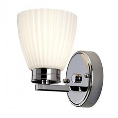 Настенный светильник для ванной комнаты Elstead Lighting Wallingford BATH-WL1 цена и информация | Настенные светильники | hansapost.ee