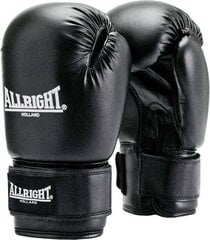Боксерские перчатки Allright TRAINING PRO 14oz, черного цвета цена и информация | Бокс | hansapost.ee