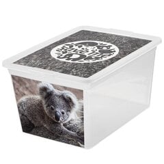 Ящик Branq для вещей Box Deco, 15 л цена и информация | Корзины и ящики для хранения | hansapost.ee