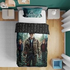 Voodipesu komplekt Harry Potter, 135x200 cm, 2 osa цена и информация | Постельное белье | hansapost.ee