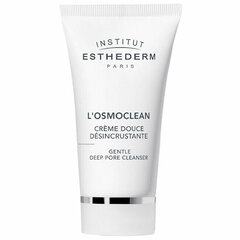 Крем для очистки пор Institut Esthederm Gentle Deep Pore Cleanser, 75 мл цена и информация | Аппараты для ухода за лицом | hansapost.ee