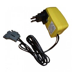 Комплект зарядного устройства PEG-PEREGO 24V 1A Multiplug цена и информация | Электромобили для детей | hansapost.ee