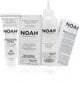 Püsivärv juustele Noah 8.0 Light Blond 140 ml hind ja info | Juuksevärvid | hansapost.ee