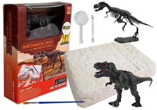 Noore arheoloogi komplekt koos dinosaurusega hind ja info | Arendavad laste mänguasjad | hansapost.ee