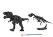 Noore arheoloogi komplekt koos dinosaurusega цена и информация | Arendavad laste mänguasjad | hansapost.ee