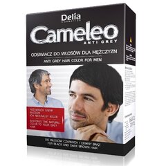 Juuksevärvi taastav toode meestele Delia Cosmetics Cameleo Anti Grey цена и информация | Краска для волос | hansapost.ee