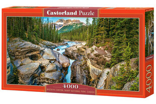 Pusle Mistaya Canyon, Banff N.P., Canada, 4000 o. цена и информация | Пазлы | hansapost.ee