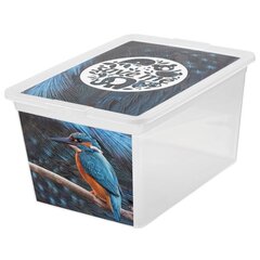 Ящик Branq для вещей Box Deco, 15 л цена и информация | Корзины и ящики для хранения | hansapost.ee