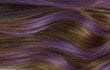 Ajutine juuksevärv L'Oreal Paris Colorista Washout, Purple цена и информация | Juuksevärvid | hansapost.ee