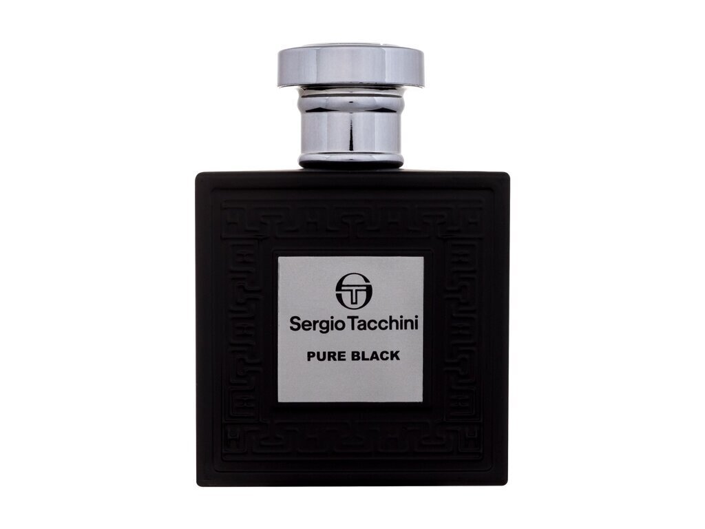 Tualettvesi Sergio Tacchini Pure Black EDT meestele 100 ml цена и информация | Parfüümid meestele | hansapost.ee