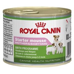Royal Canin kasvavatele kutsikatele Starter mousse, 195 g цена и информация | Консервы для собак | hansapost.ee