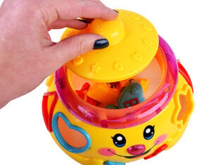 Muusikaline pott-sorteerija цена и информация | Игрушки для малышей | hansapost.ee