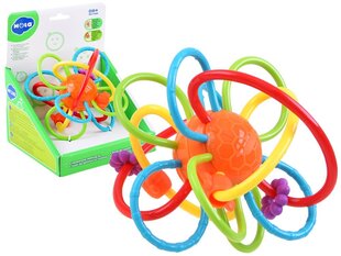 Värviline närimislelu-kõristi beebidele hind ja info | Beebide mänguasjad | hansapost.ee
