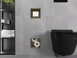 Mexen X-Wall-BP peidetud tualettpaberi hoidja koos ümbrisega, Gold hind ja info | Vannitoa aksessuaarid | hansapost.ee