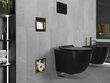 Mexen X-Wall-BP peidetud tualettpaberi hoidja koos ümbrisega, Gold hind ja info | Vannitoa aksessuaarid | hansapost.ee