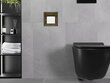 Mexen X-Wall-P peidetud tualettpaberi hoidja, Gold цена и информация | Vannitoa aksessuaarid | hansapost.ee
