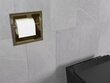 Mexen X-Wall-P peidetud tualettpaberi hoidja, Gold hind ja info | Vannitoa aksessuaarid | hansapost.ee