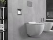 Mexen X-Wall-P peidetud tualettpaberi hoidja, Inox цена и информация | Vannitoa aksessuaarid | hansapost.ee