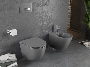 WC-pott Mexen Lena Rimless Slim Duroplast koos aeglaselt sulguva kaanega, Dark grey mat hind ja info | WС-potid | hansapost.ee