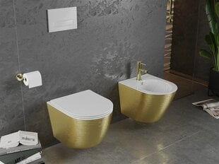 WC-pott Mexen Lena Rimless Slim Duroplast koos aeglaselt sulguva kaanega, White/Gold lines hind ja info | WС-potid | hansapost.ee