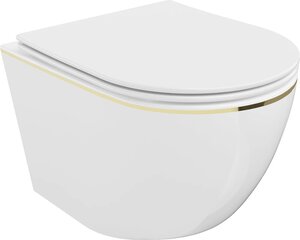 WC-pott Mexen Lena Rimless Slim Duroplast koos aeglaselt sulguva kaanega, White/Gold edge hind ja info | WС-potid | hansapost.ee