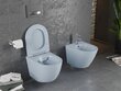 WC-pott Mexen Lena Rimless Slim Duroplast koos aeglaselt sulguva kaanega, Grey-blue mat hind ja info | WС-potid | hansapost.ee