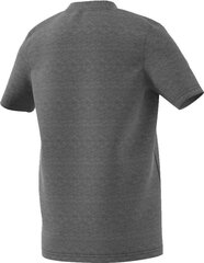 T-särk Adidas Core 18, hall hind ja info | Jalgpalli varustus ja riided | hansapost.ee