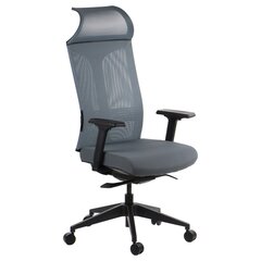 Офисное кресло A2A Ryder, серый, самобалансирующийся механизм цена и информация | Офисные кресла | hansapost.ee