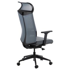 Офисное кресло A2A Ryder, серый, самобалансирующийся механизм цена и информация | Офисные кресла | hansapost.ee