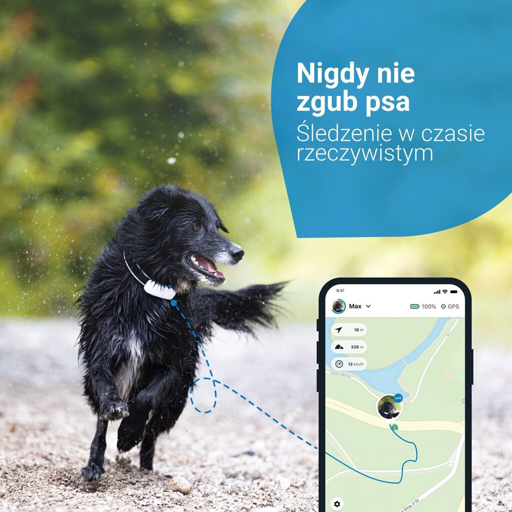 Tractive Tractive GPS DOG 4 koerajälgija koos aktiivsuse jälgimisega – valge hind ja info | Koerte riided | hansapost.ee