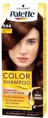 Tooniv šampoon Palette Color Shampoo nr 244 Chocolate Brown цена и информация | Краска для волос | hansapost.ee