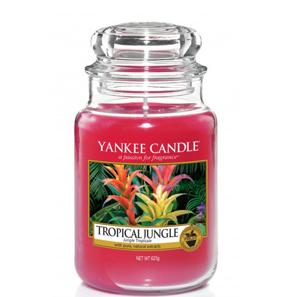 Lõhnaküünal Yankee Candle Large Jar Tropical Jungle 623 g цена и информация | Küünlad, küünlajalad | hansapost.ee