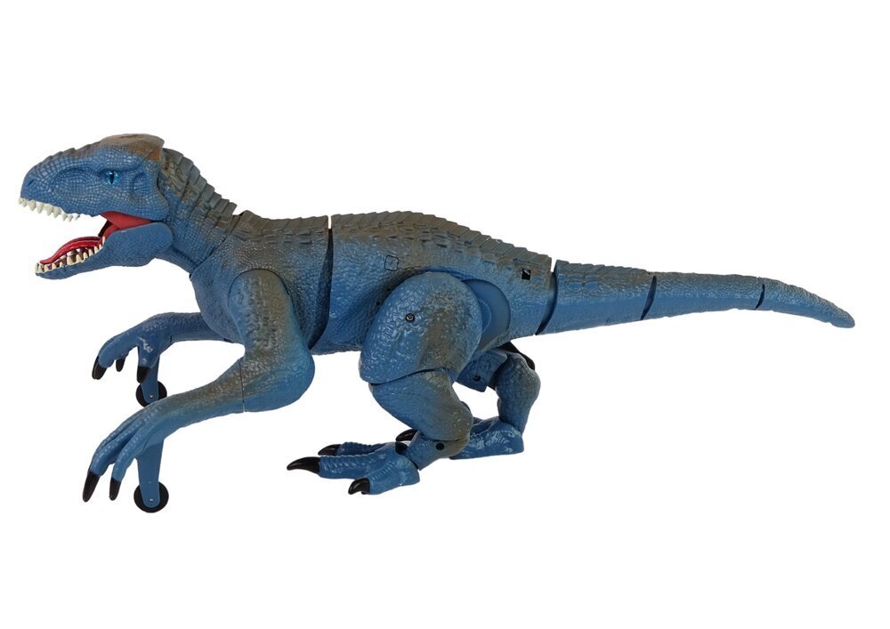 Dinosaurus heli- ja valgusefektidega, pult, Raptor, sinine hind ja info | Mänguasjad poistele | hansapost.ee