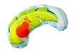 Matt - bassein beebidele LeanToys, erinevat värvi hind ja info | Beebide mänguasjad | hansapost.ee