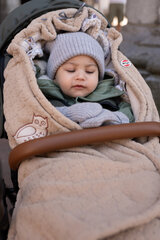 Варежки из мериносовой шерсти  для ребенка Lodger Folklore 0-12 мес. цена и информация | Шапочки для новорожденных, перчатки, шарфики | hansapost.ee