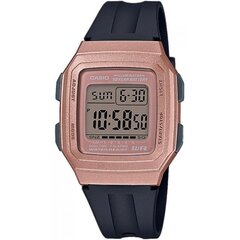 Casio Collection meeste käekell hind ja info | Casio Riided, jalanõud ja aksessuaarid | hansapost.ee