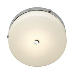 Потолочный светильник для ванной комнаты Elstead Lighting Tamar TAMAR-F-M-PC цена и информация | Потолочные светильники | hansapost.ee