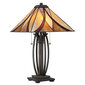 Lauavalgusti Elstead Lighting Asheville QZ-ASHEVILLE-TL цена и информация | Laualambid | hansapost.ee